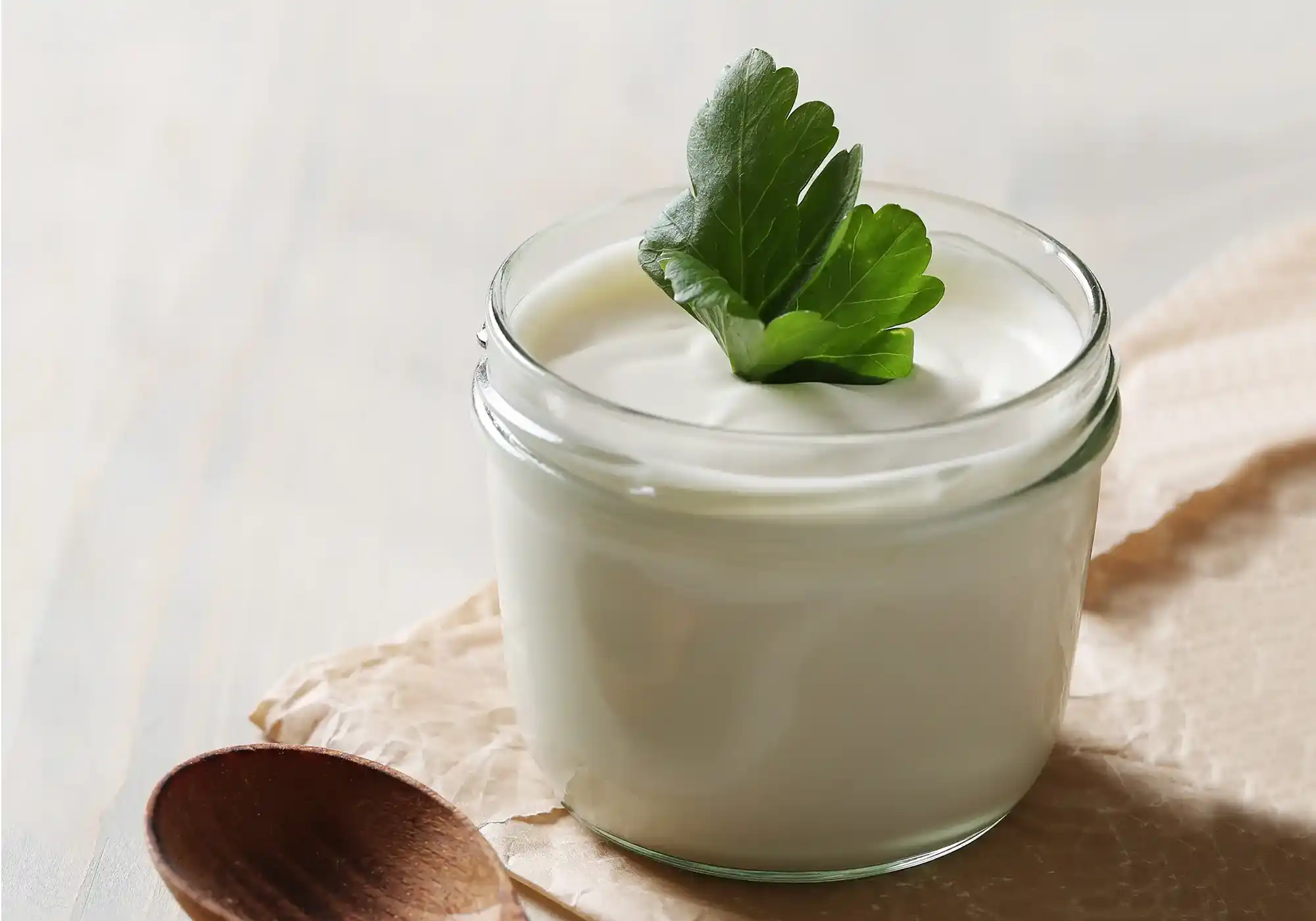 Mayonnaise stabilizer