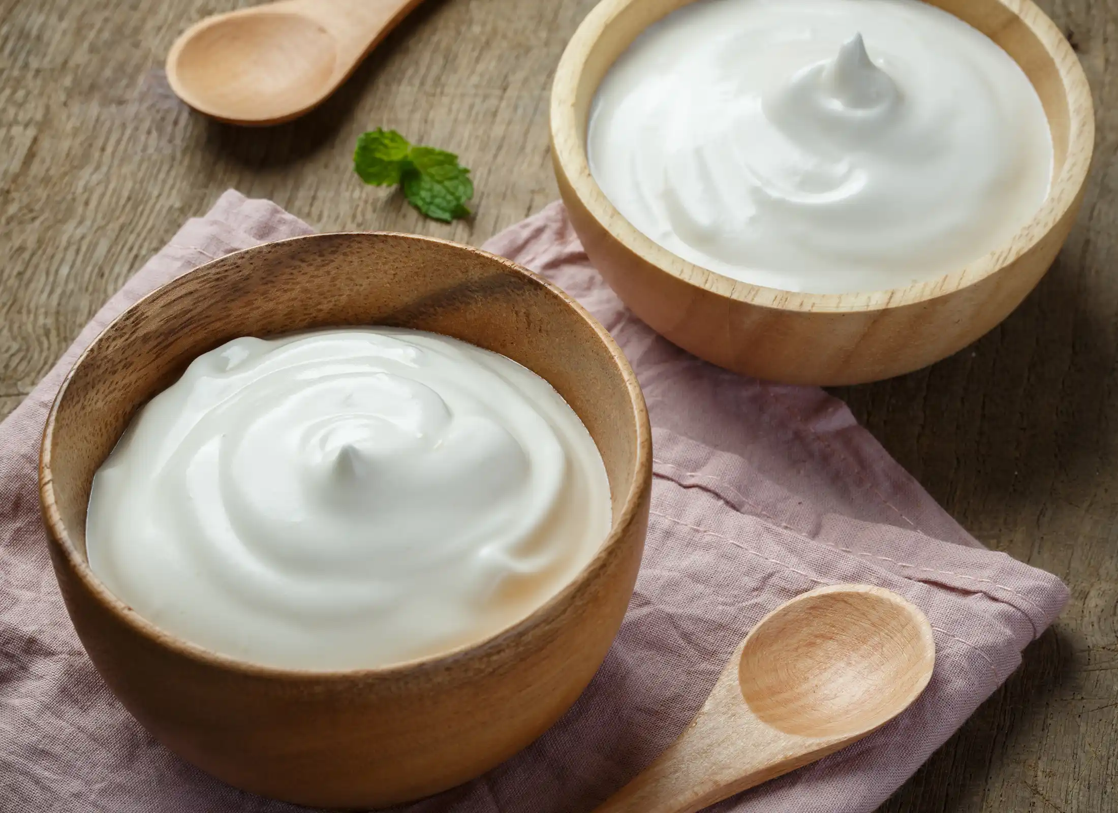 Yogurt Powder